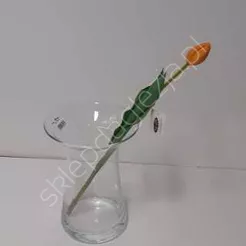 Tulipan pojedyńczy guma