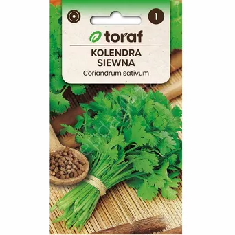 Kolendra siewna 2g T 