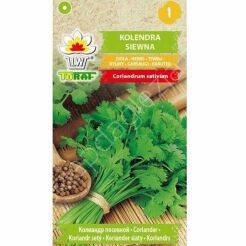 Kolendra siewna 2g T 