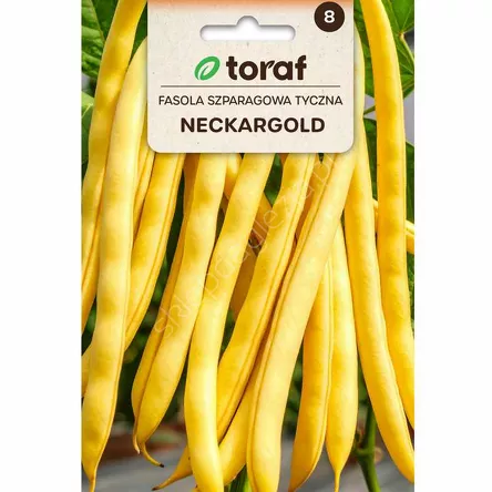 Fasola szparagowa tyczna żółta Neckergold  10g T