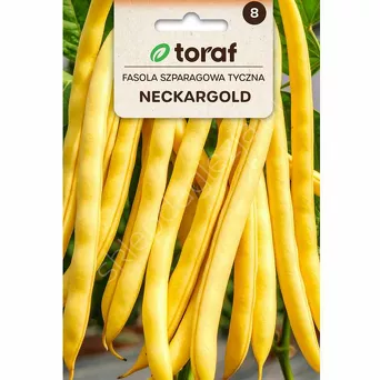 Fasola szparagowa tyczna żółta Neckergold  10g T