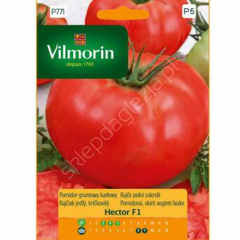 Pomidor gruntowy Hector F1 0,1g V 