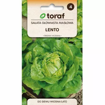 Sałata masłowa Lento 1g T