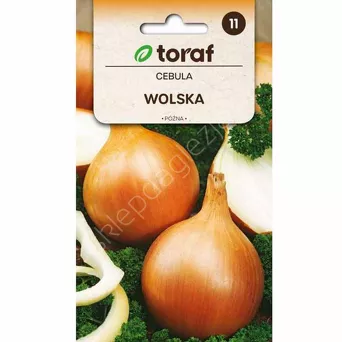 Cebula Wolska 4g T TOR  