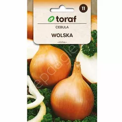 Cebula Wolska 4g T TOR  