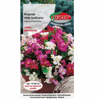 Begonia stale kwitn. biała 0,01g To