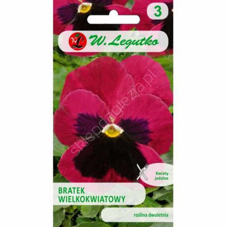 Bratek wielokwiatowy Weinrote Tone kaminow 0.5g  L