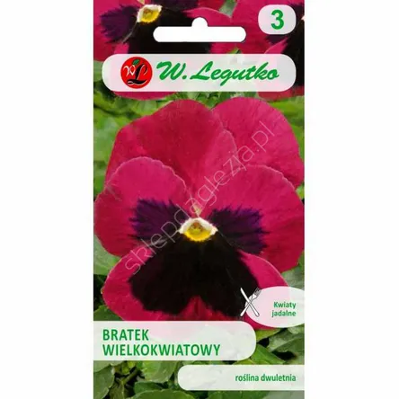 Bratek wielokwiatowy Weinrote Tone kaminow 0.5g  L