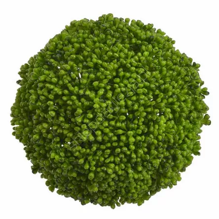 Kula bukszpanowa 12cm