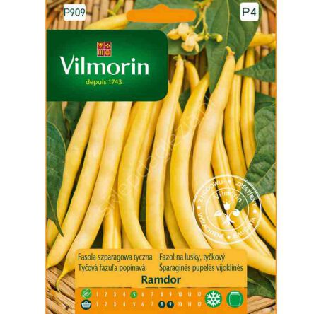 Fasola szparagowa Ramdorl 10g V