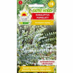 Eukaliptus popielaty 20szt T 