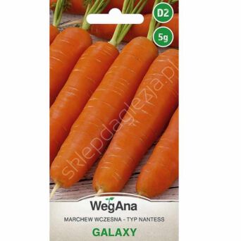 Marchew Galaxy 5g W