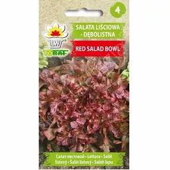 Sałata Red Salad Bowl 1g T dębolistna
