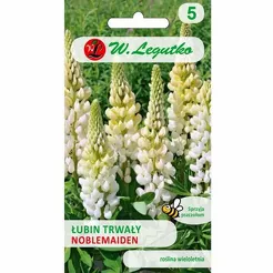 Łubin trwały ogrodowy Russel Noblemaiden bia 2g  L
