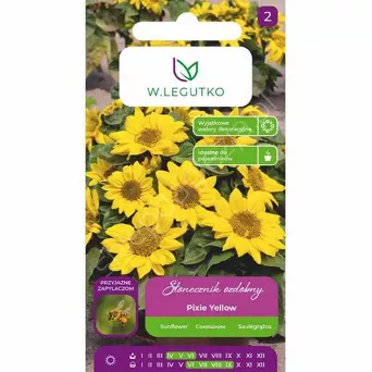 Słonecznik ozdob karł.poj.poli Pixie Yellow 3g  L