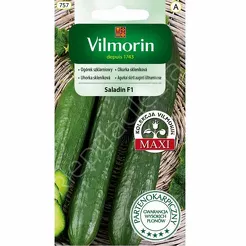Ogórek Saladin szklarn.  0,8g V