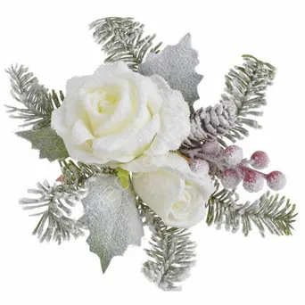 Roślina ośnieżona na klipsie