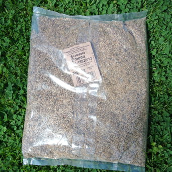 Seradela pastewna 1kg