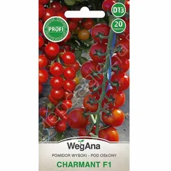 Pomidor Charmant  F1 20 nasion W 
