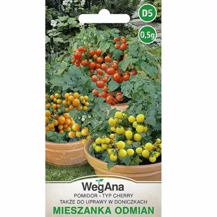 Pomidor mieszanka odmian 0,5g W