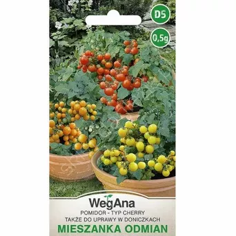 Pomidor mieszanka odmian 0,5g W