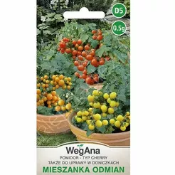 Pomidor mieszanka odmian 0,5g W
