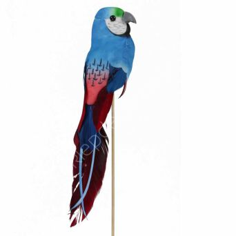 Pik Papuga 25cm