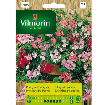 Pelargonia zwisająca mieszanka 5z V