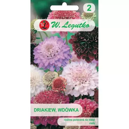 Drakiew,Wdówka mix.0,50g L