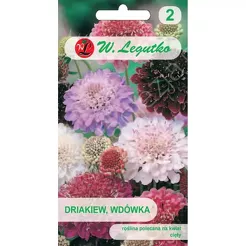 Drakiew,Wdówka mix.0,50g L