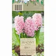 Hiacynt Anna Marie 16-17 3szt DCO