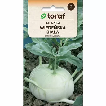 Kalarepa Wiedeńska biała 2g T