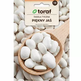 Fasola tyczna Piękny Jaś 25g