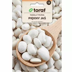 Fasola tyczna Piękny Jaś 25g