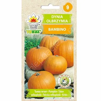 Dynia olbrzymia Bambino 5g T
