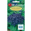 Heliotrop ogrodowy niebieski  0,1g L 