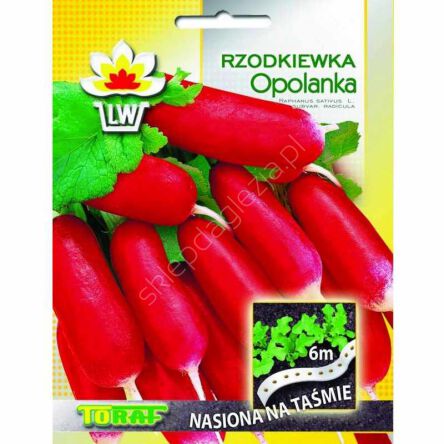 Rzodkiewka Opolanka Taśma 6m Toraf 