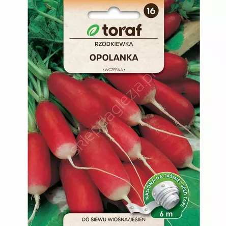 Rzodkiewka Opolanka Taśma 6m T