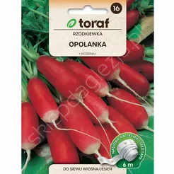 Rzodkiewka Opolanka Taśma 6m T 