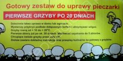 Grzybnia - Pieczarka biała karton