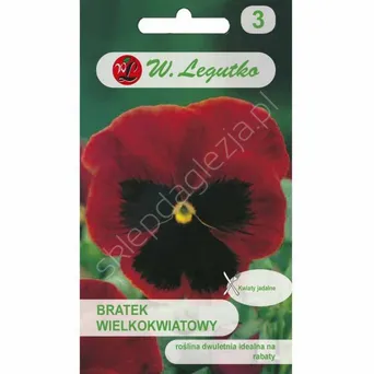 Bratek wielokwiatowy Abendglut czerw 0.5g  L