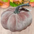 Dynia materiałowa blado różowa 14,5cm