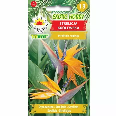 Strelicja królewska 5szt T