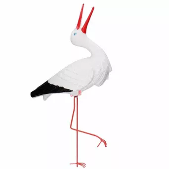 Bocian mały stojący