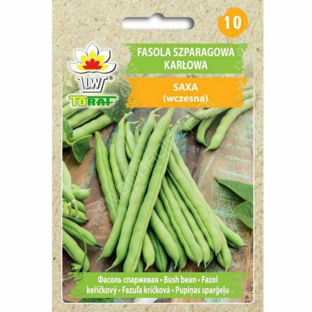Fasola Saxa zielona zwykła karłowa 30g Toraf