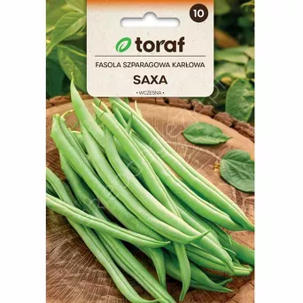 Fasola szparagowa zielona Saxa zw. karłowa 30g T