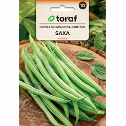 Fasola szparagowa zielona Saxa zw. karłowa 30g T