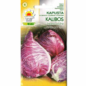 Kapusta czerwona Kalibos 1g T 