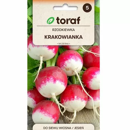Rzodkiewka Krakowianka z białym końcem 10g T