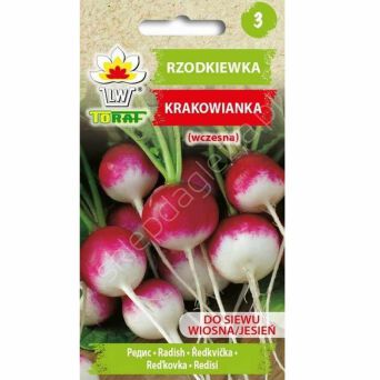 Rzodkiewka Krakowianka z białym końcem 10g T 